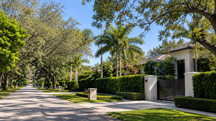 A residential street shaded by mature trees, with a white wall and home on the right.